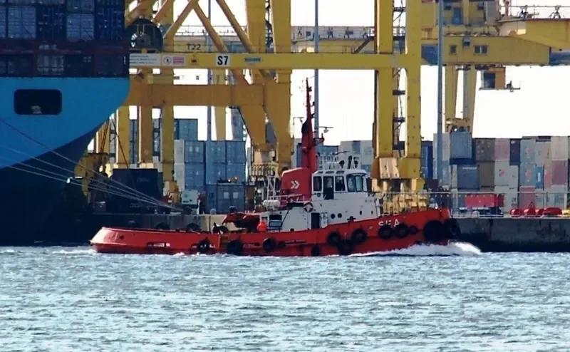 SEA Tug Boat IMO 6906737 photo 9