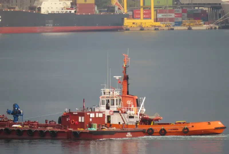 SEA Tug Boat IMO 6906737 photo 10