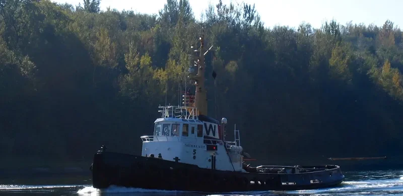 TAUCHER O.WULF 5 Tug Boat IMO 6907169 photo 4