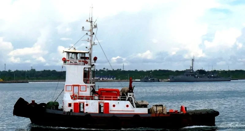 SIDE ARM Tug Boat IMO 6907468 photo 5