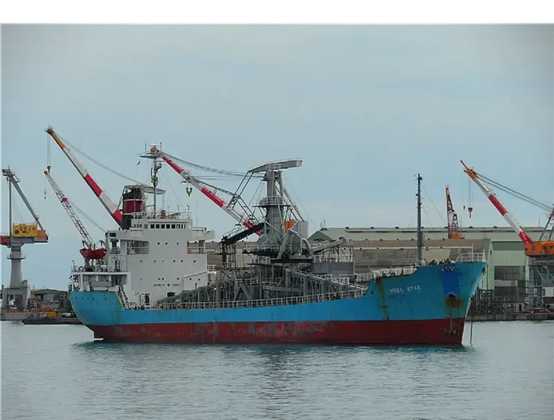NOEL STAR General Cargo IMO 6908060 photo 3