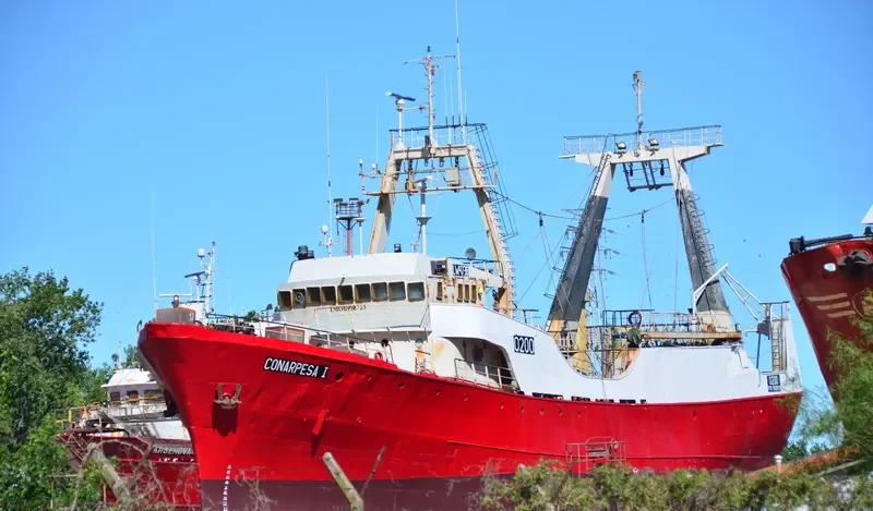CONARPESA I General Cargo IMO 6908723