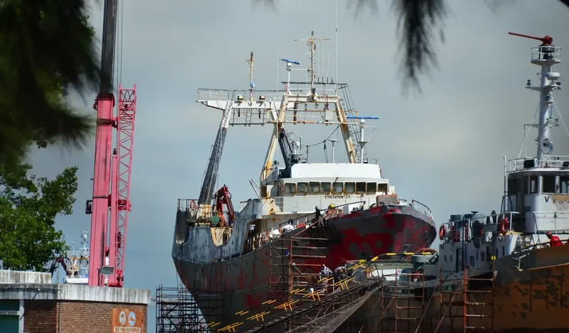 CONARPESA I General Cargo IMO 6908723 photo 2