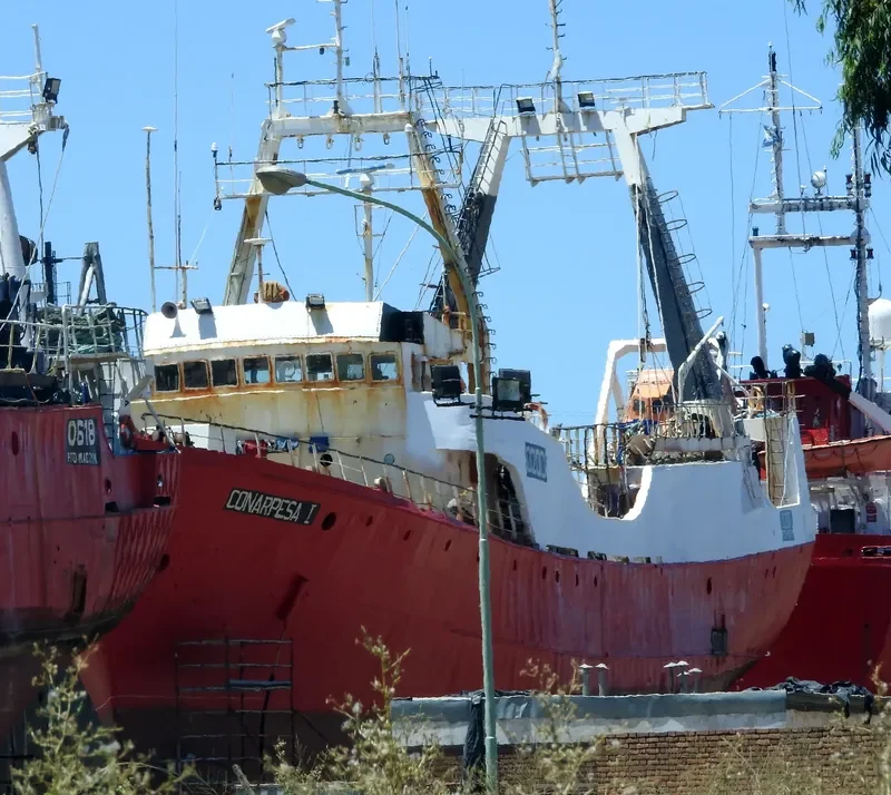 CONARPESA I General Cargo IMO 6908723 photo 3