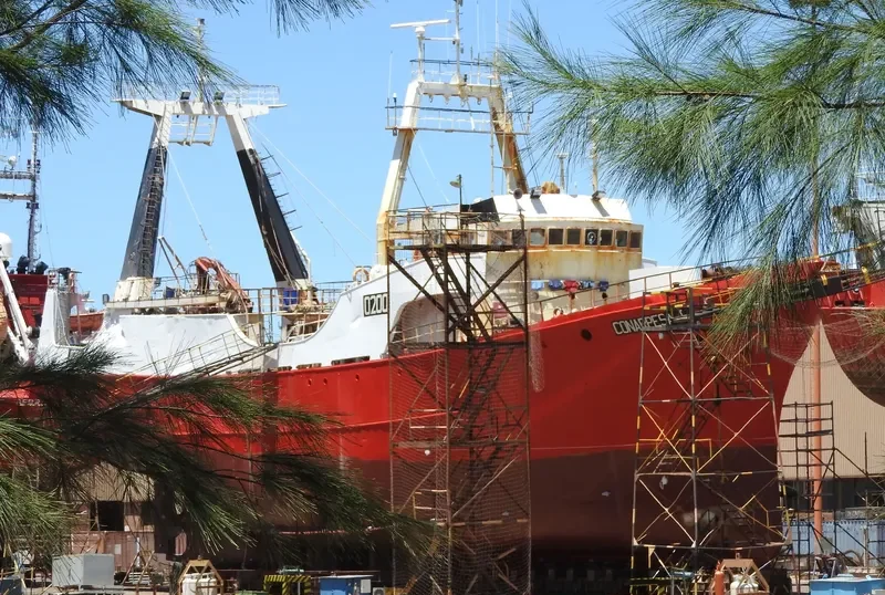 CONARPESA I General Cargo IMO 6908723 photo 4