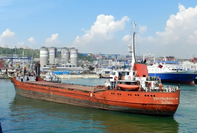 CELTIKCIOAGLU 14 General Cargo IMO 6909715 photo 4