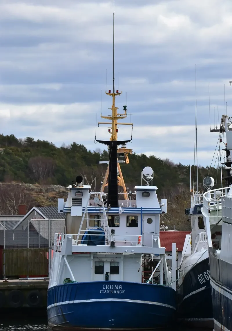 CRONA Fishing Vessel IMO 6909935