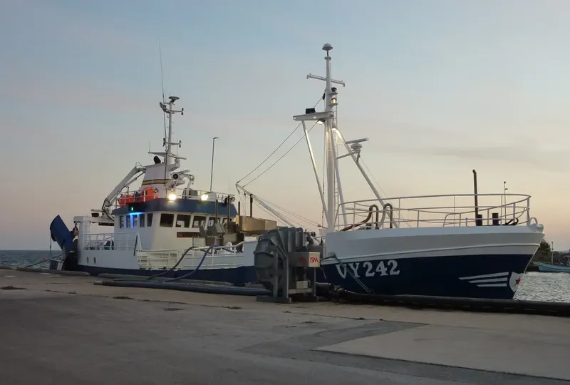VESTLAND Fishing Vessel IMO 6909985 photo 4