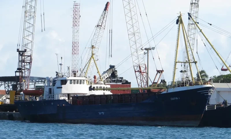 DARYA I General Cargo IMO 6910855 photo 3