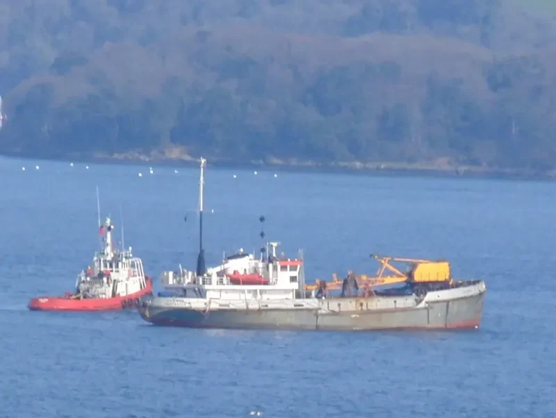 KMC PELICAN General Cargo IMO 6911304 photo 3