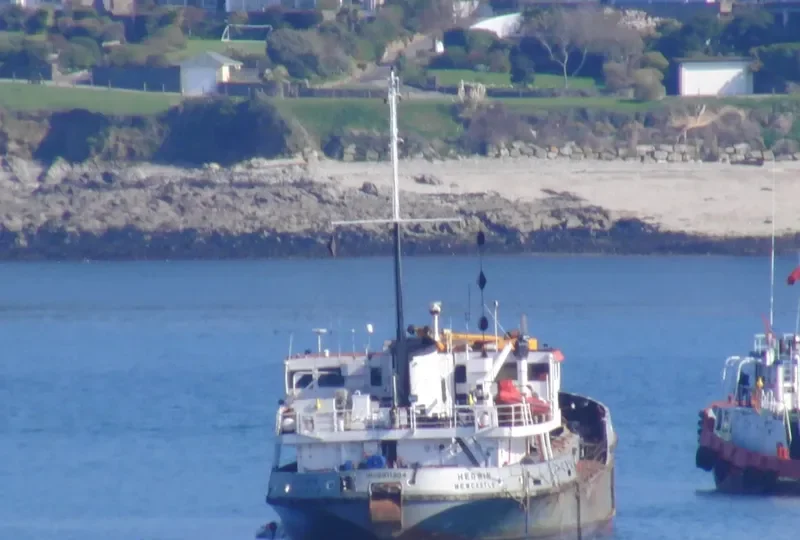 KMC PELICAN General Cargo IMO 6911304 photo 6