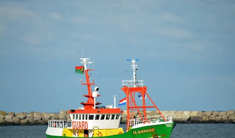 FLAMINGO General Cargo IMO 6911861 photo 4
