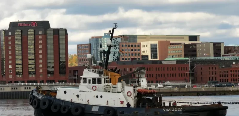ATLANTIC BEECH Tug Boat IMO 6912437 photo 9