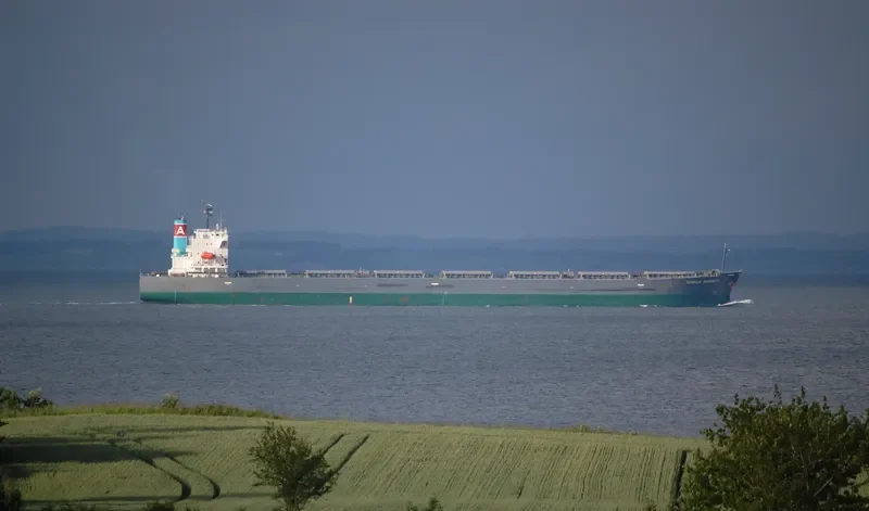 SEA DUENDE General Cargo IMO 6912657 photo 2