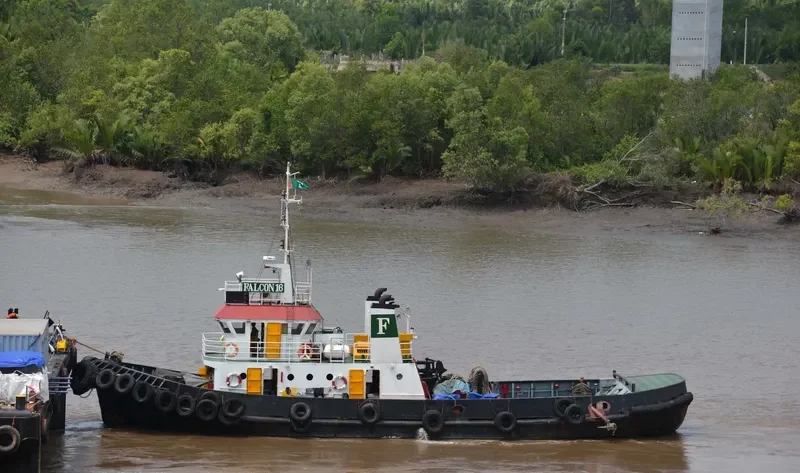 FALCON 16 Tug Boat IMO 6913778 photo 2