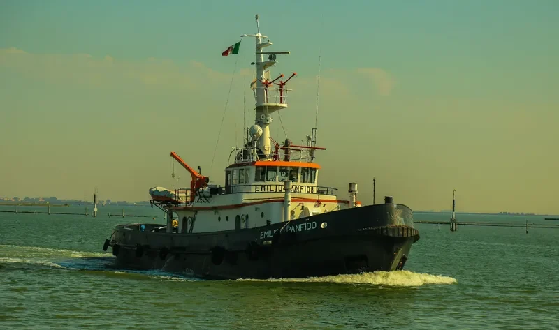 EMILIO PANFIDO Tug Boat IMO 6914801 photo 3