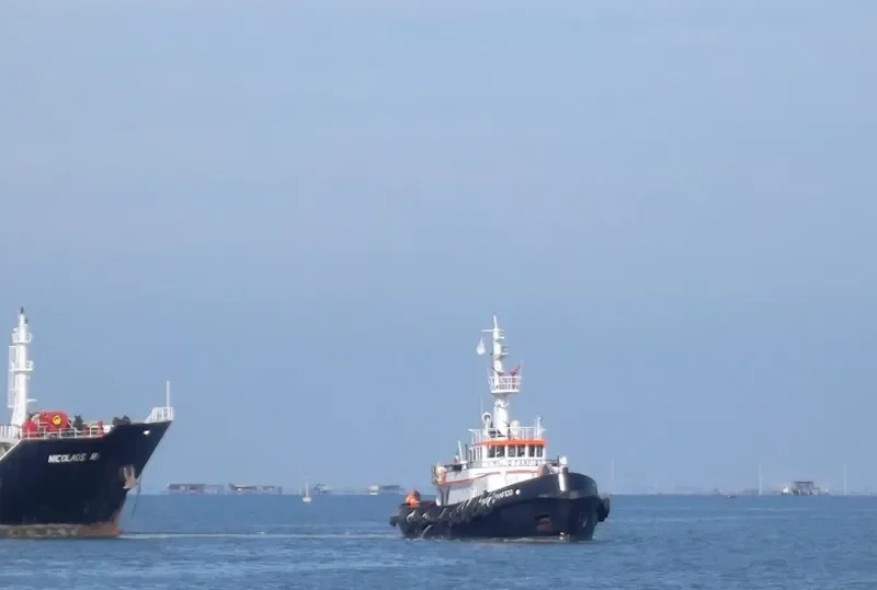 EMILIO PANFIDO Tug Boat IMO 6914801 photo 9