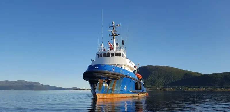 STONE Tug Boat IMO 6917516 photo 2