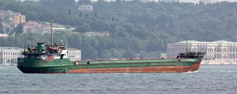 BISLAN General Cargo IMO 6919514 photo 9