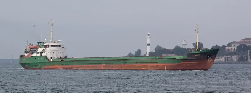 BISLAN General Cargo IMO 6919514 photo 10