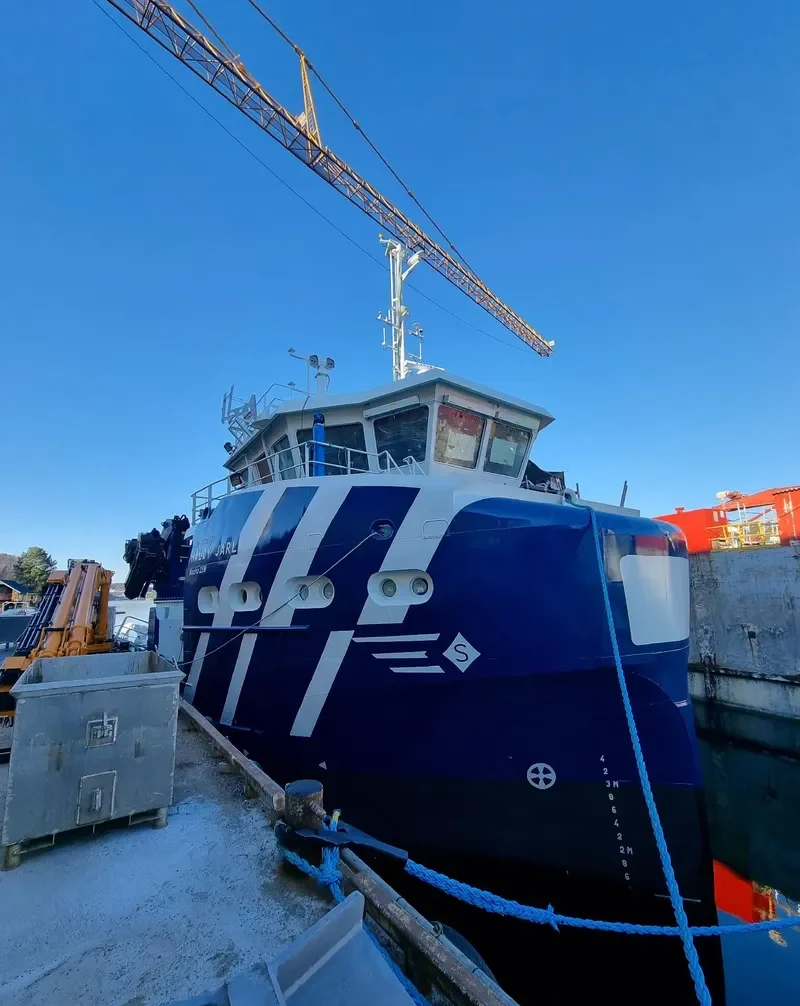 RAJA 3 Ro-Ro IMO 6920472 photo 4