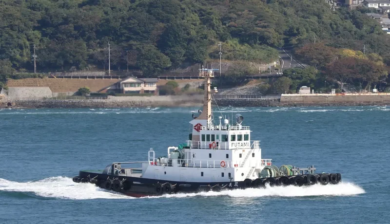 RAJA 3 Ro-Ro IMO 6920472 photo 6