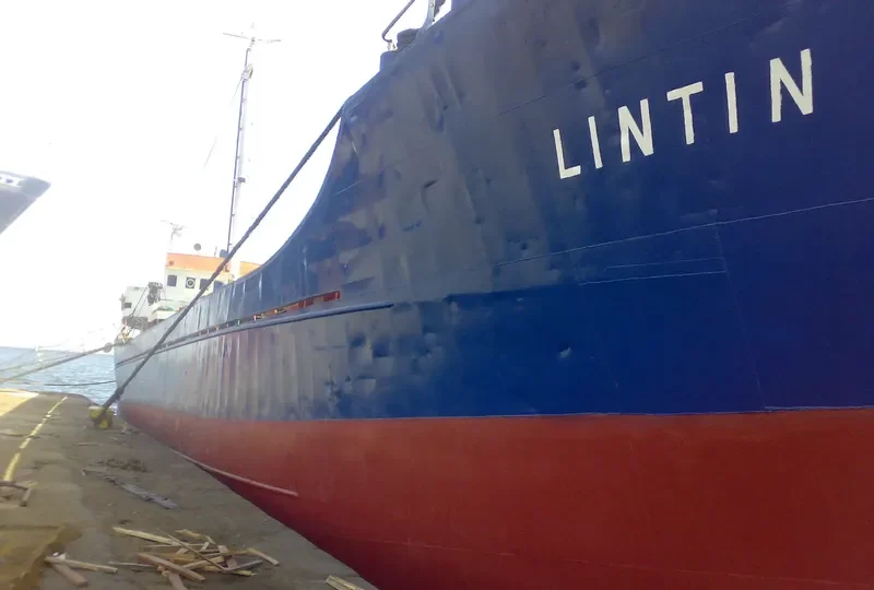 LINTIN General Cargo IMO 6921256 photo 3