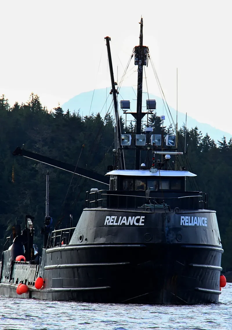 RELIANCE General Cargo IMO 6921270 photo 2