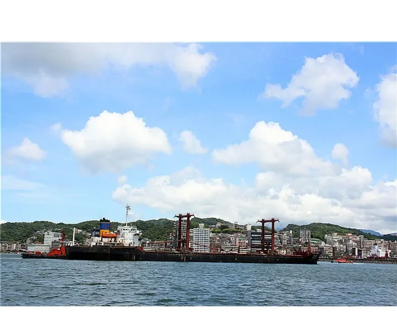 DA JIA Bulk Carrier IMO 6922509 photo 3