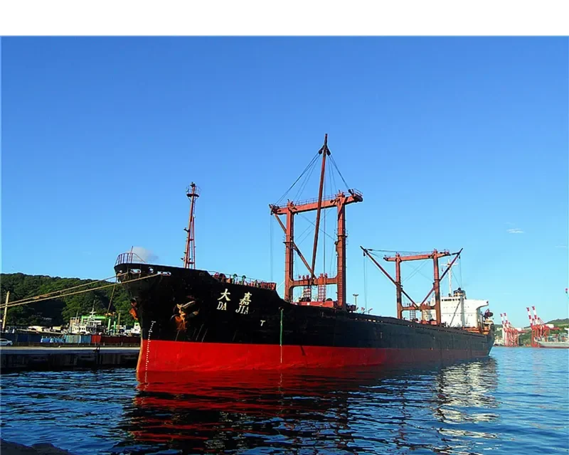 DA JIA Bulk Carrier IMO 6922509 photo 7