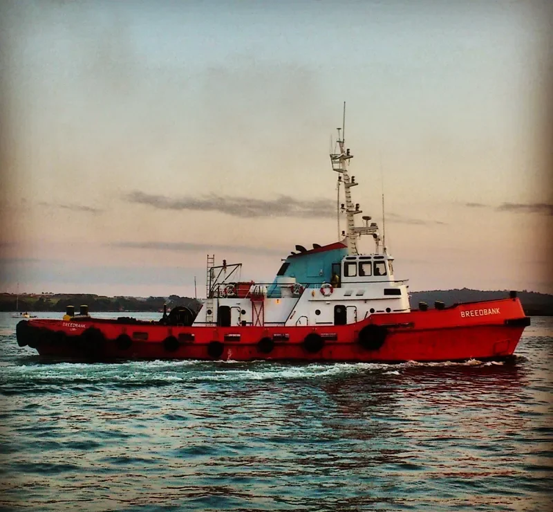 BREEDBANK Tug Boat IMO 6923876 photo 4