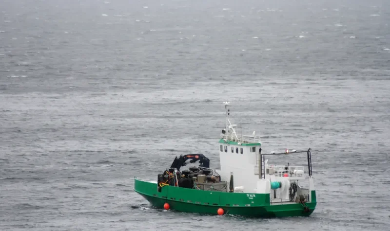 TY ALFA Ro-Ro Vessel IMO 6925020 photo 2