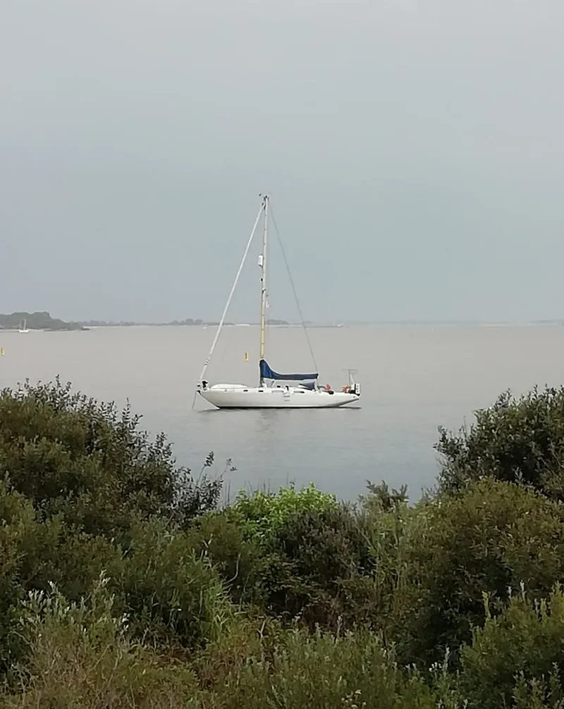 ALKAR Fishing Vessel IMO 6925460 photo 6