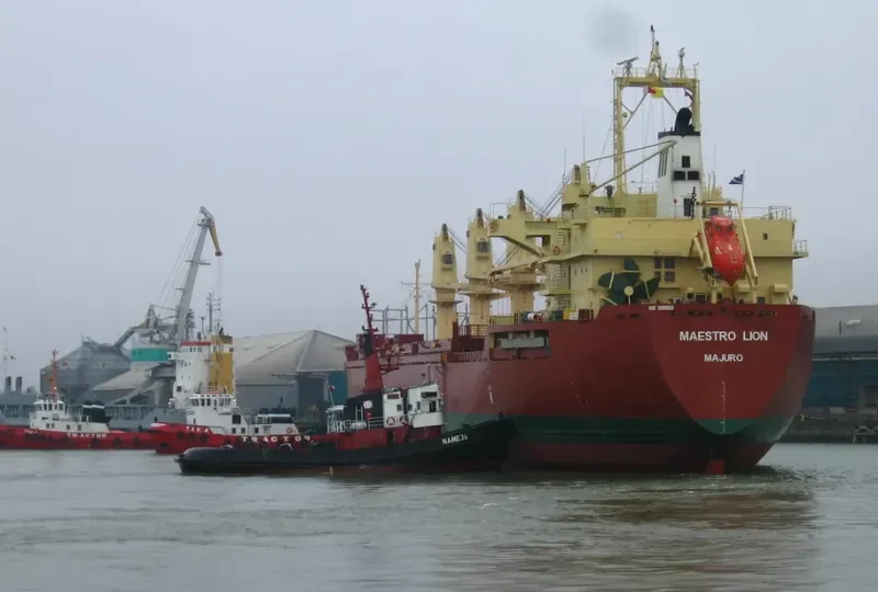 NAMEJS Tug Boat IMO 6926062 photo 8