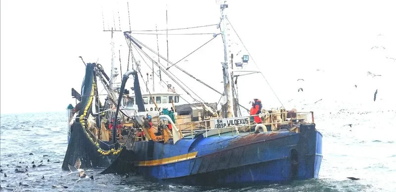 WILDEKUS General Cargo IMO 6926359