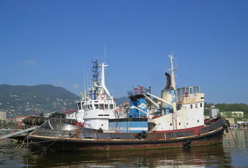 FORTE GARZIA Tug Boat IMO 6927872 photo 2