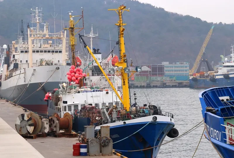 TAMANGO General Cargo IMO 6928553