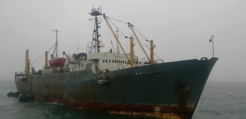 DANKO General Cargo IMO 6929337