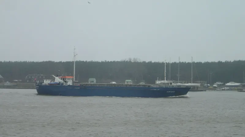 TAMARA General Cargo IMO 7001364 photo 2