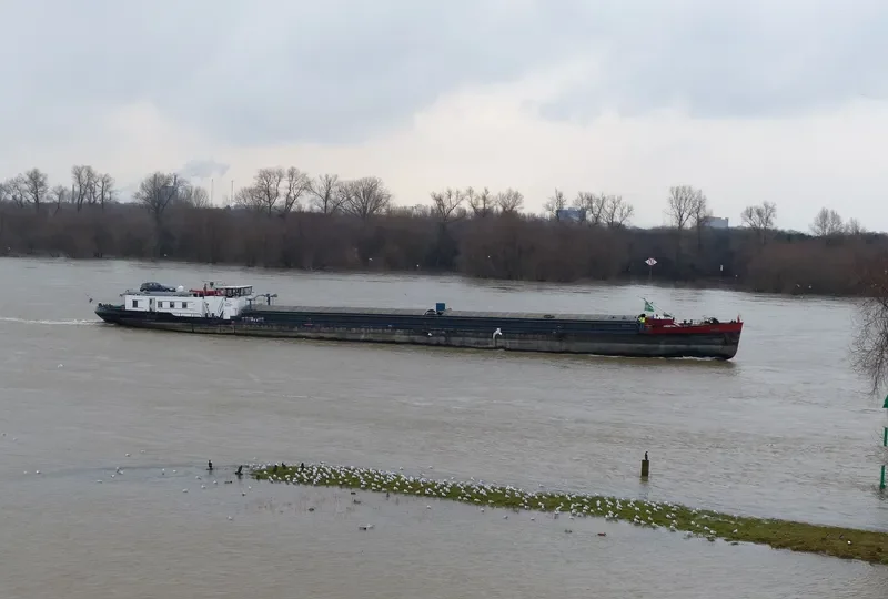TAMARA General Cargo IMO 7001364 photo 4