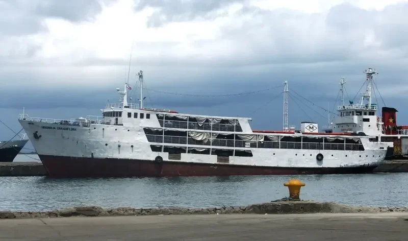 MAGNOLIA GRANDIFLORA Passenger Ship IMO 7003348 photo 3