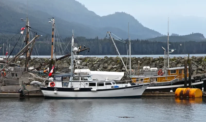 QUADRA QUEEN II Ro-Ro IMO 7003439 photo 5