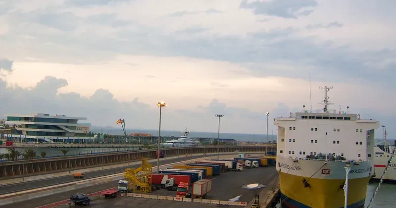MERCEDES DEL MAR Container Ship IMO 7004196 photo 2