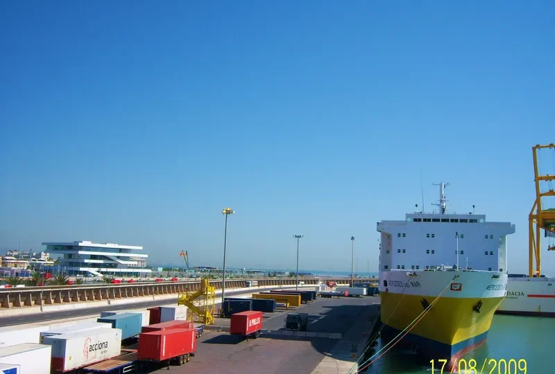 MERCEDES DEL MAR Container Ship IMO 7004196 photo 4