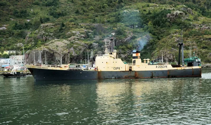 JOANA PRINCESA General Cargo IMO 7004744 photo 3