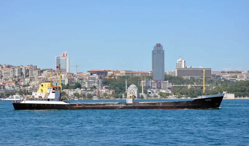 MUSTAFA General Cargo IMO 7005140
