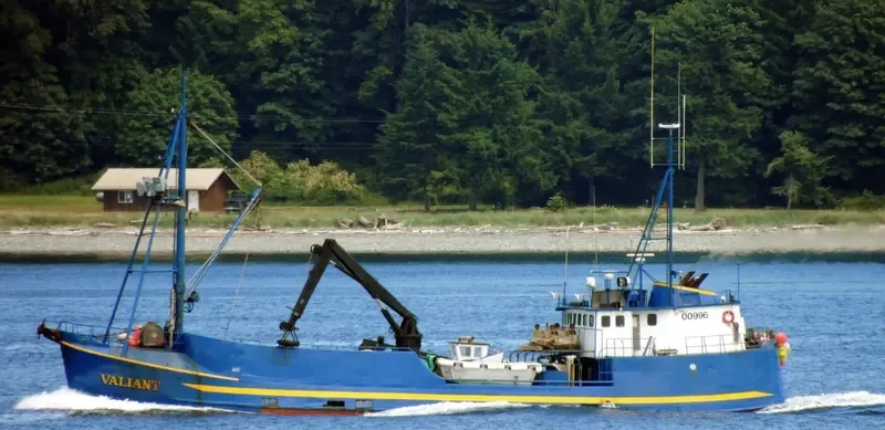 VALIANT Fishing Vessel IMO 7005841 photo 5