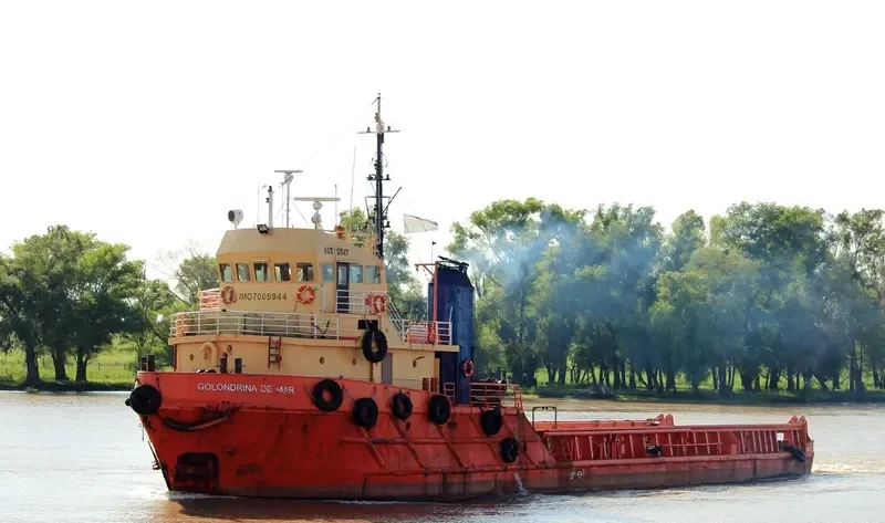 GOLONDRINA DE MAR Offshore Vessel IMO 7005944 photo 7