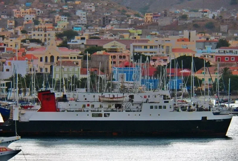 PENTALINA B Ro-Ro IMO 7009653 photo 2