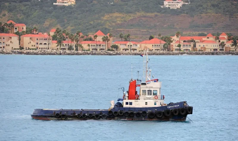 TENACIOUS Tug Boat IMO 7009861 photo 2